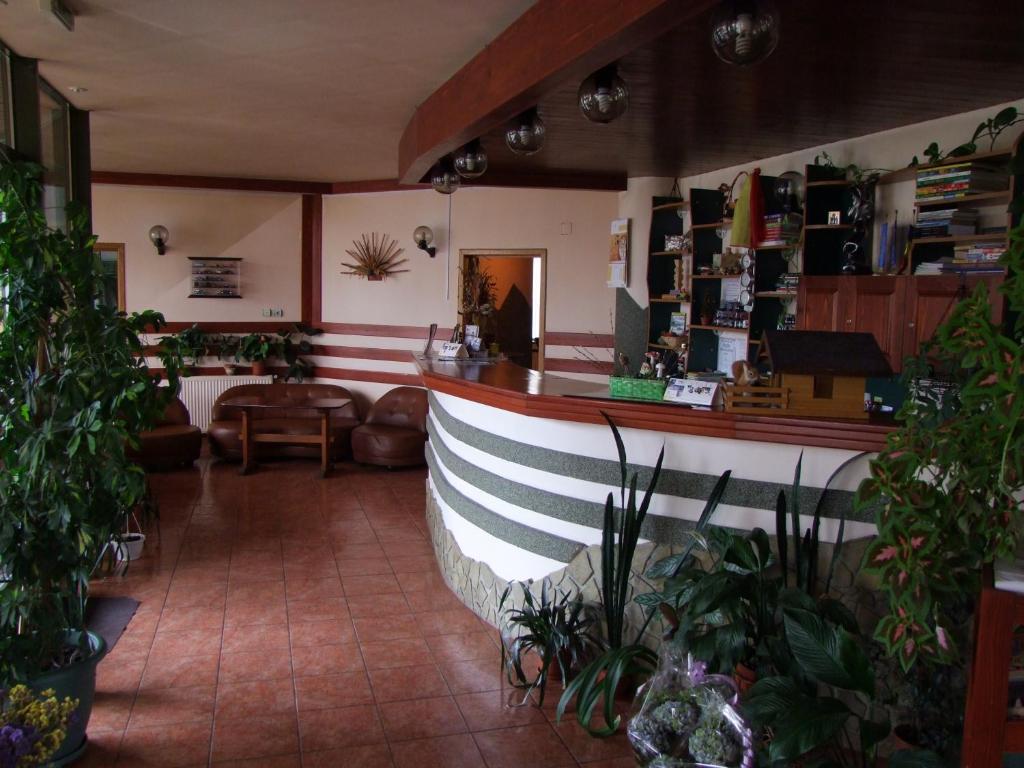 Hotel Silva Ватра-Дорней Экстерьер фото